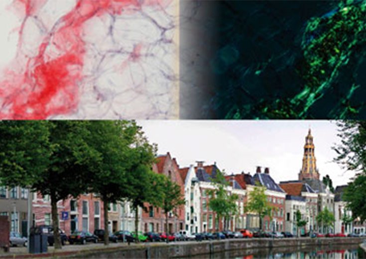 Year:2012	

Location: Groningen, The Netherlands

Chair:   
Bouke Hazenberg