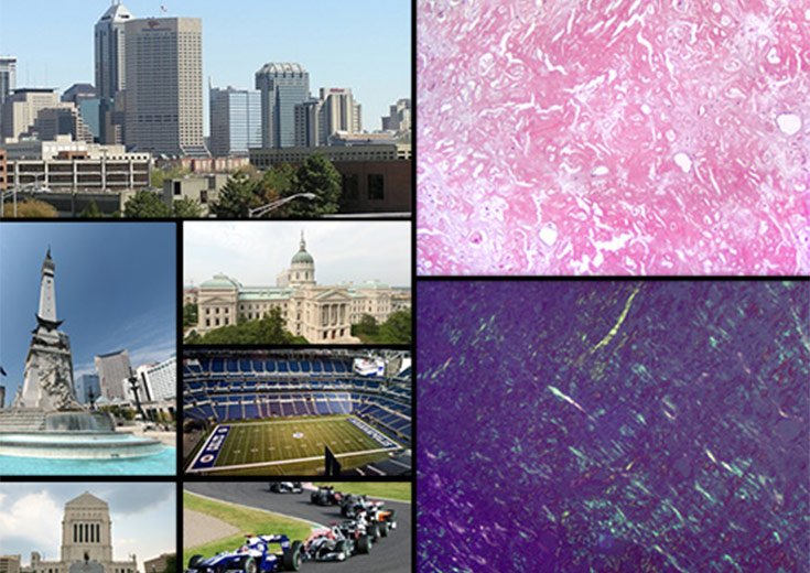 Year:2016	

ocation: Uppsala, Sweden

Chair:   
Per Westermark