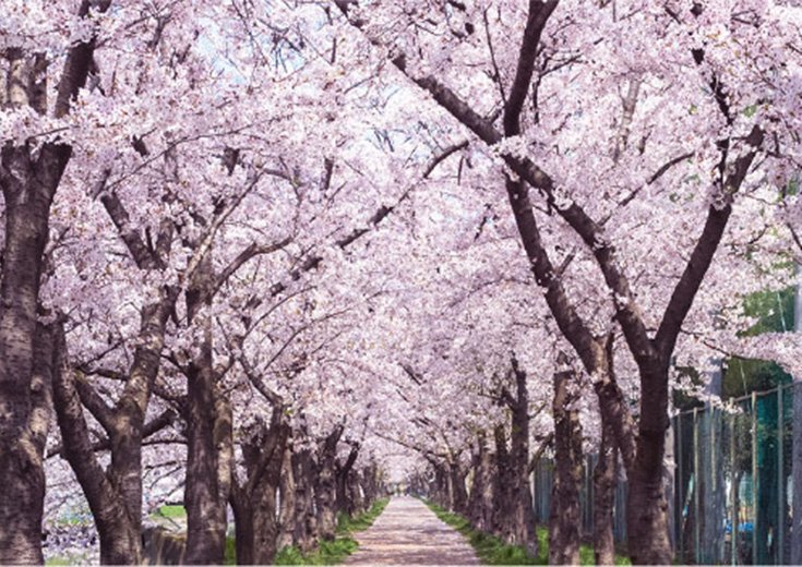 Year:2018	
Location: Kumamoto, Japan

Chair:   
Yukio Ando